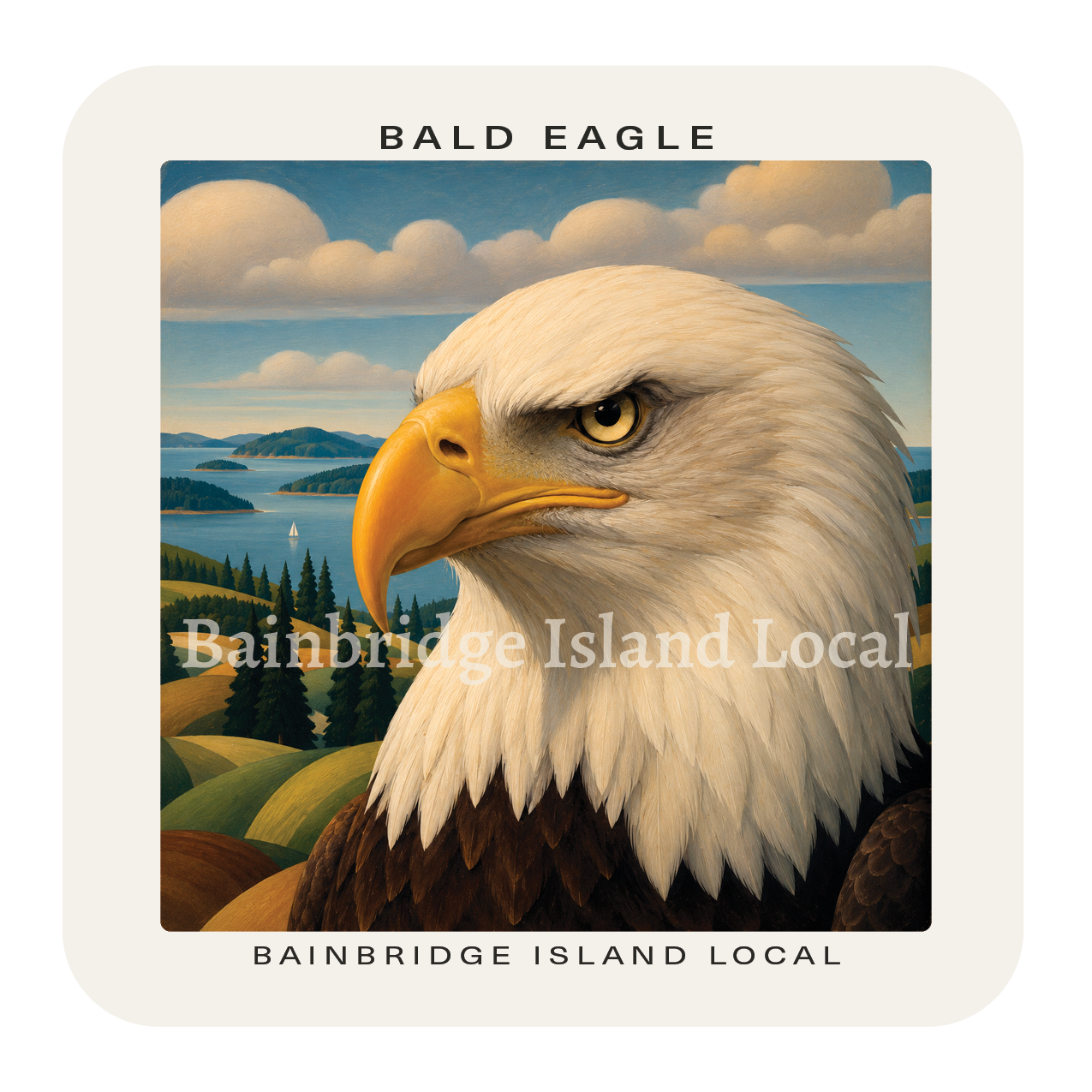 Bald Eagle