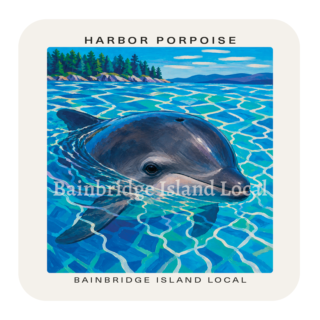 Harbor Porpoise