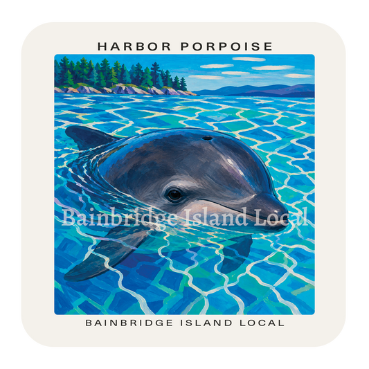 Harbor Porpoise