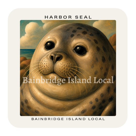 Harbor Seal