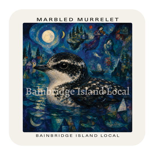 Marbled Murrelet