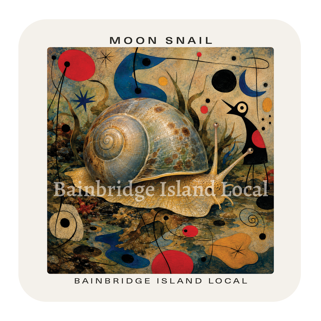 Moon Snail