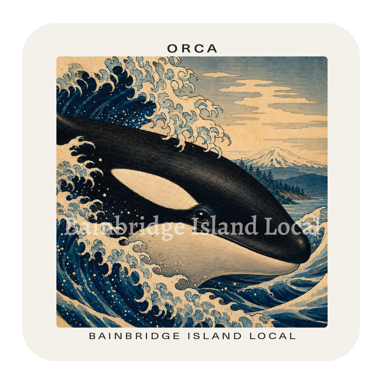 Orca