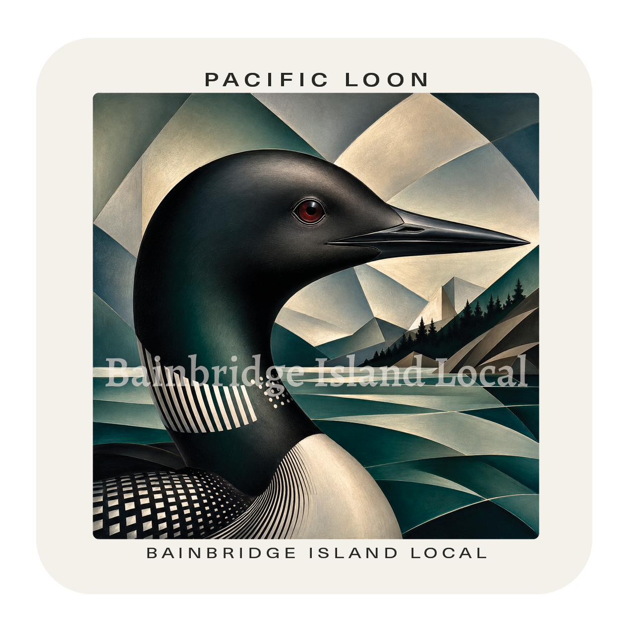 Pacific Loon