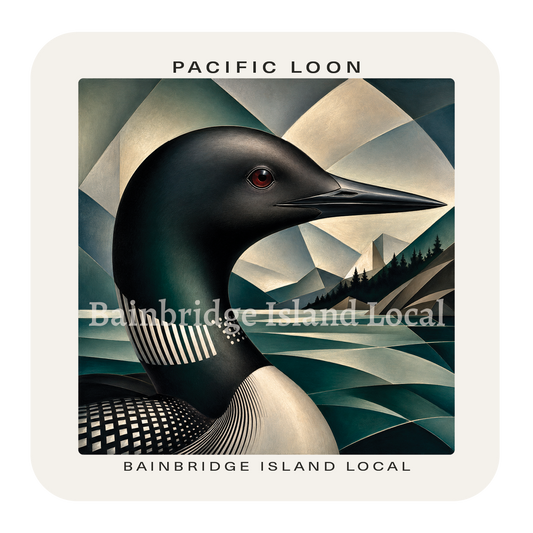 Pacific Loon