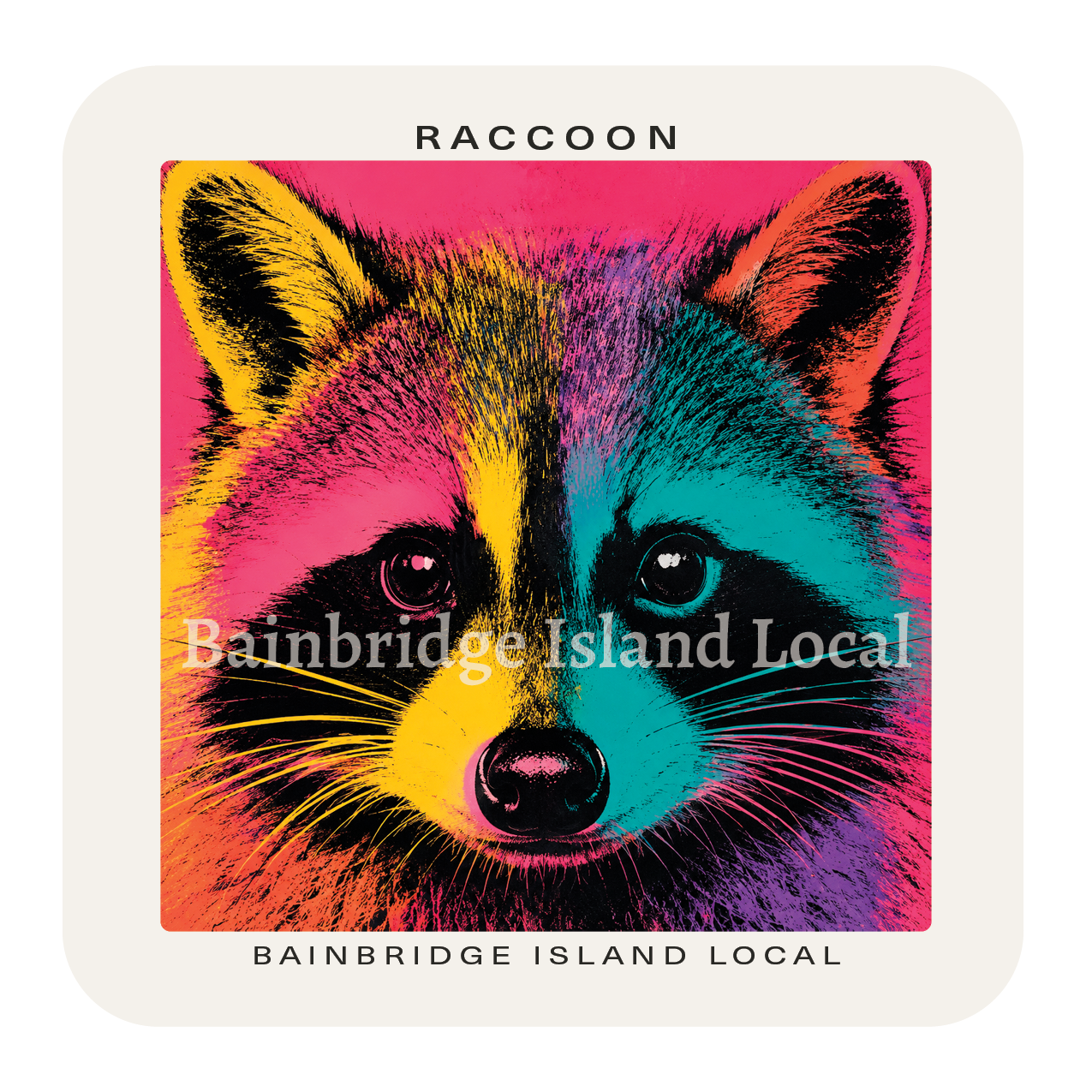 Raccoon
