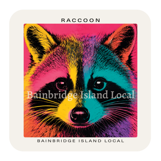 Raccoon