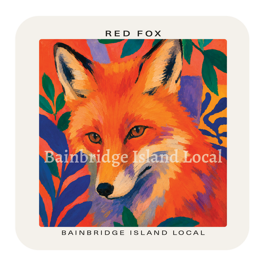 Red Fox