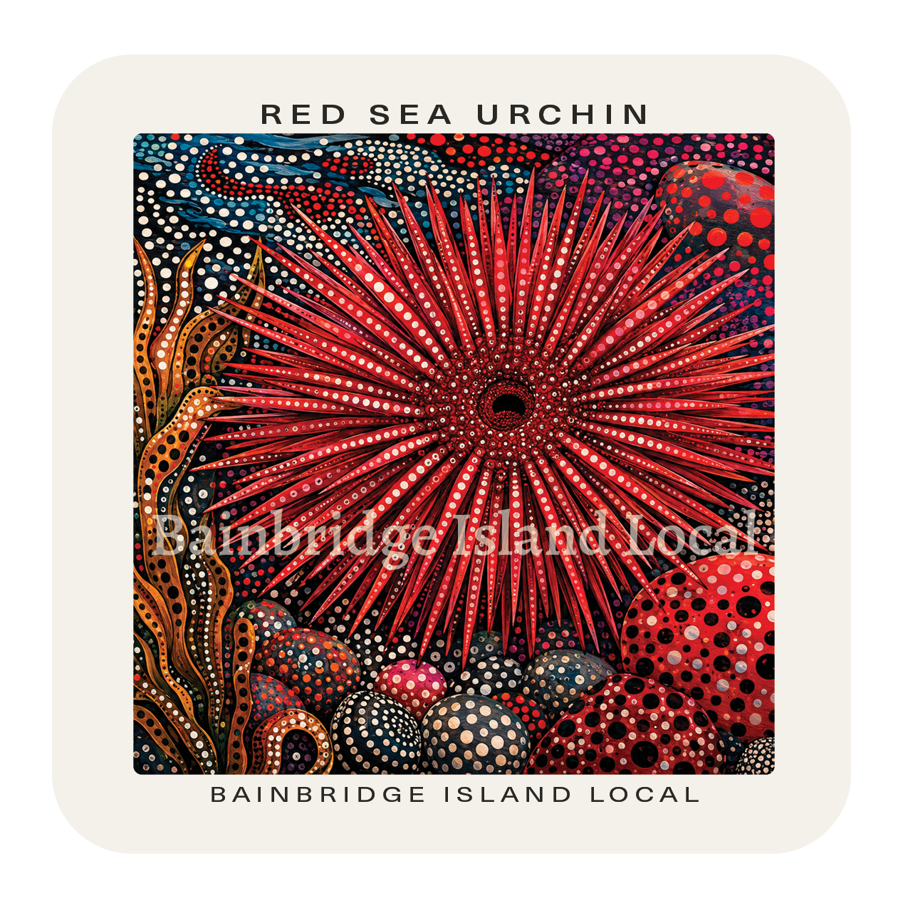 Red Sea Urchin