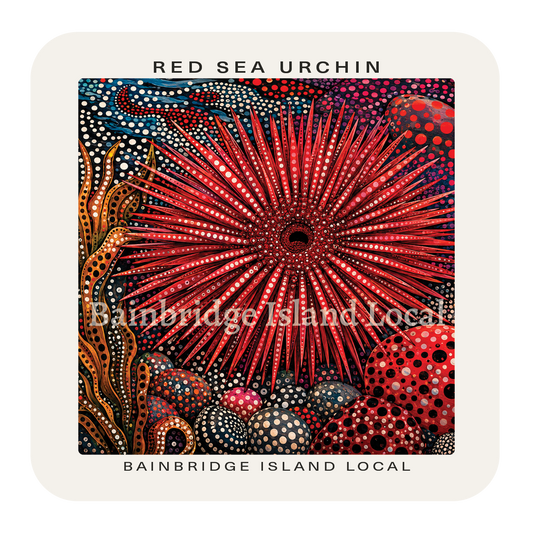 Red Sea Urchin