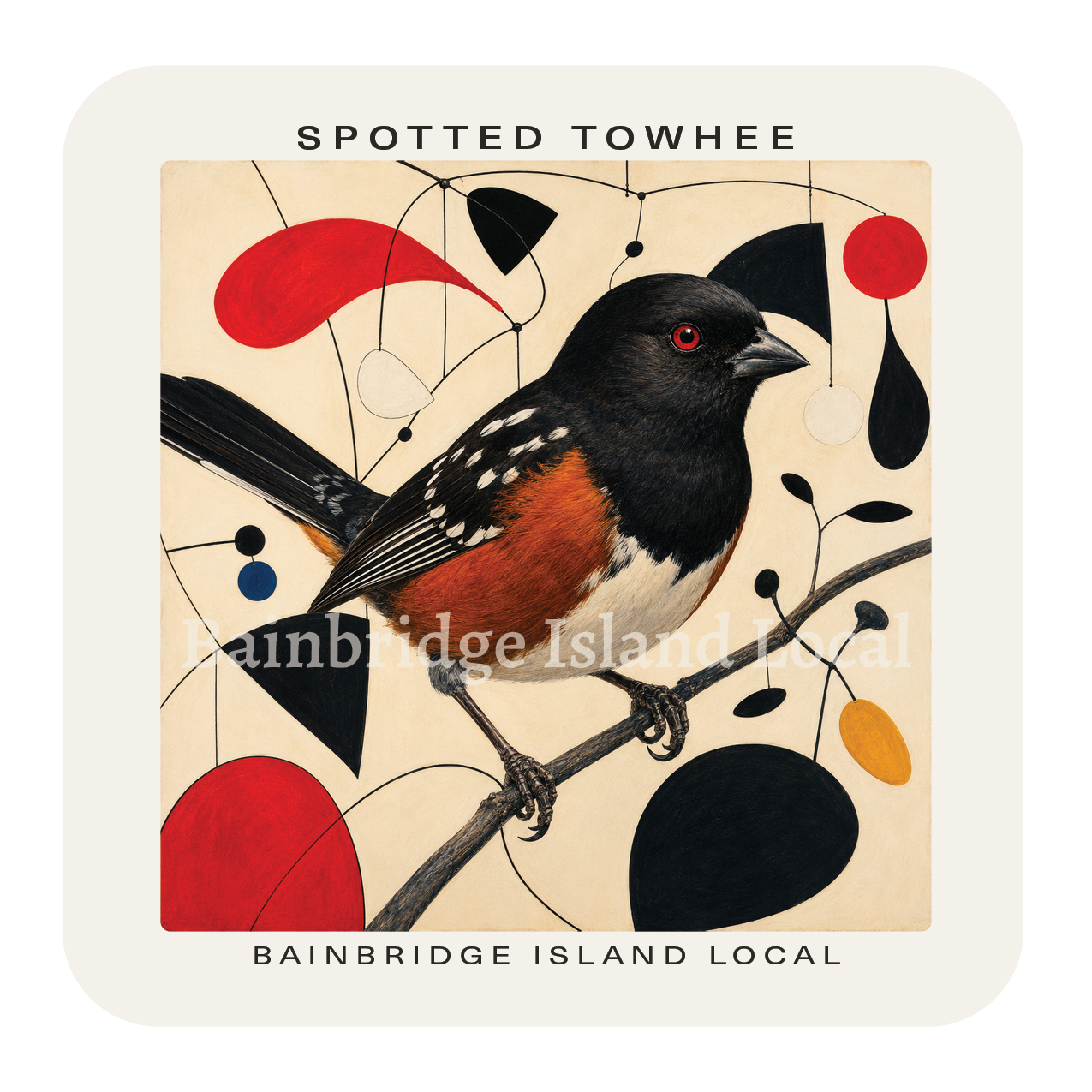 Spotted Towhee
