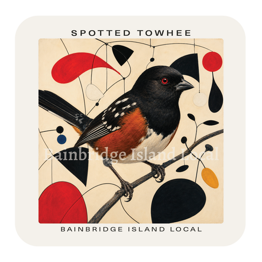 Spotted Towhee