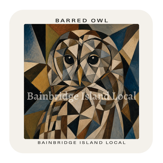 Barred Owl