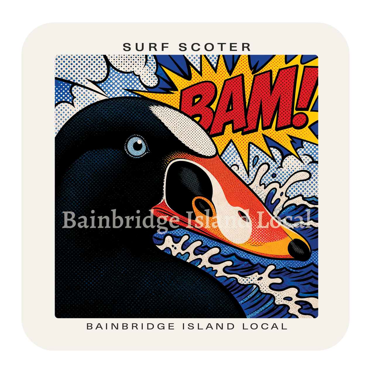 Surf Scoter