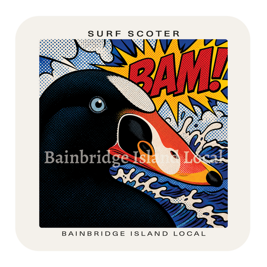 Surf Scoter