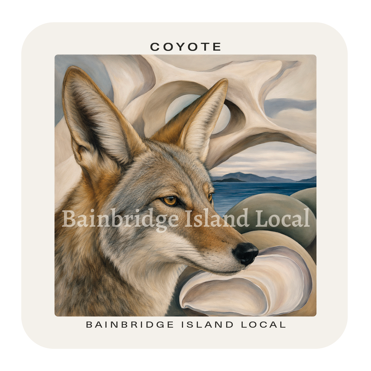 Coyote