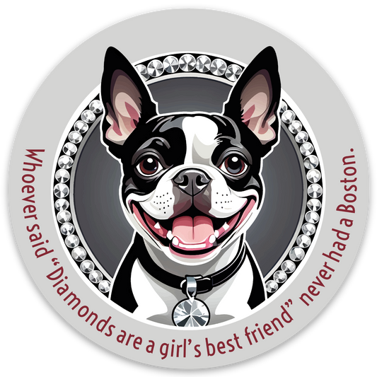 Girl's Best Friend