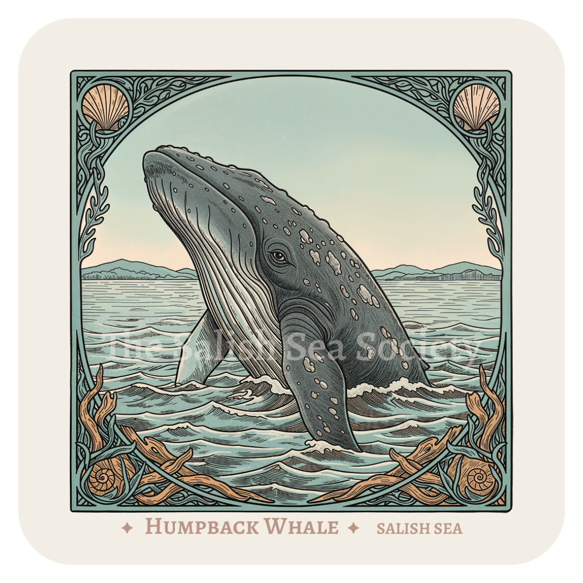 Humpback Whale