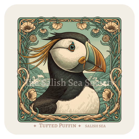 Tufted Puffin
