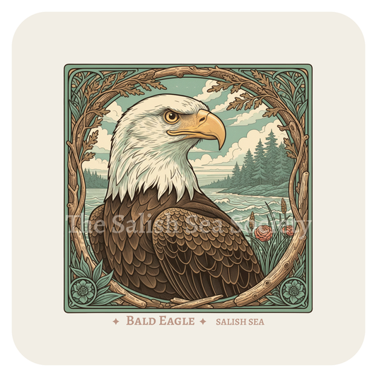 Bald Eagle