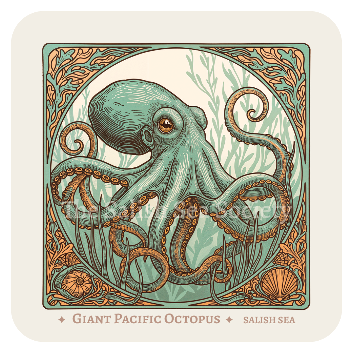 Giant Pacific Octopus