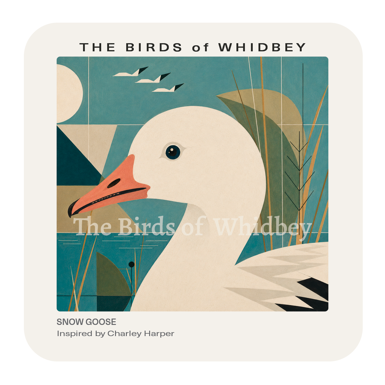 Snow Goose