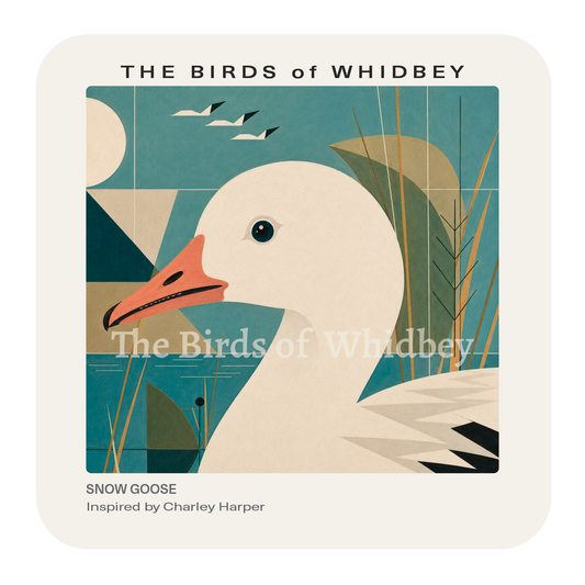 Snow Goose