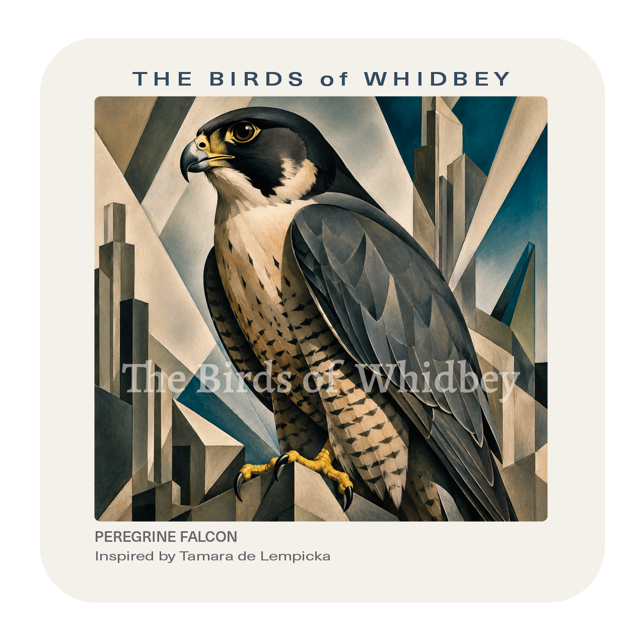 Peregrine Falcon