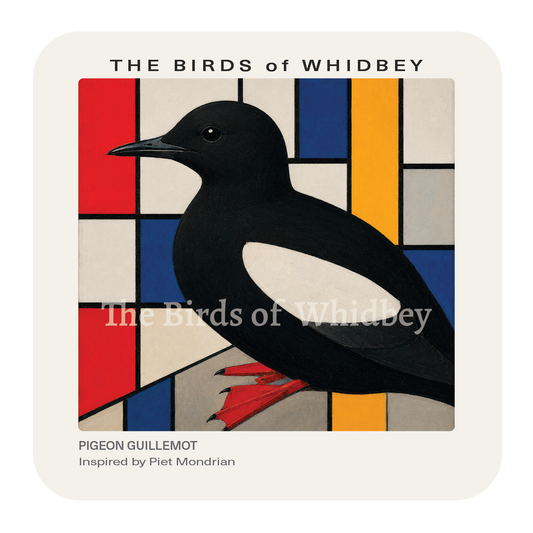 Pigeon Guillemot