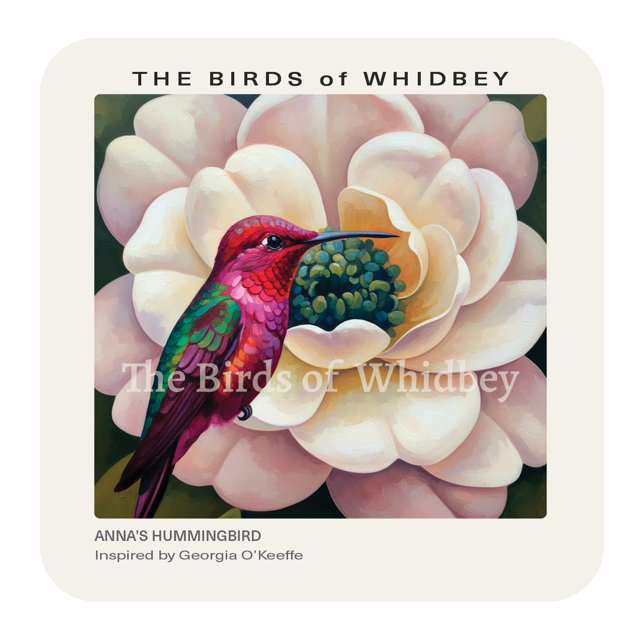 Anna's Hummingbird Coaster
