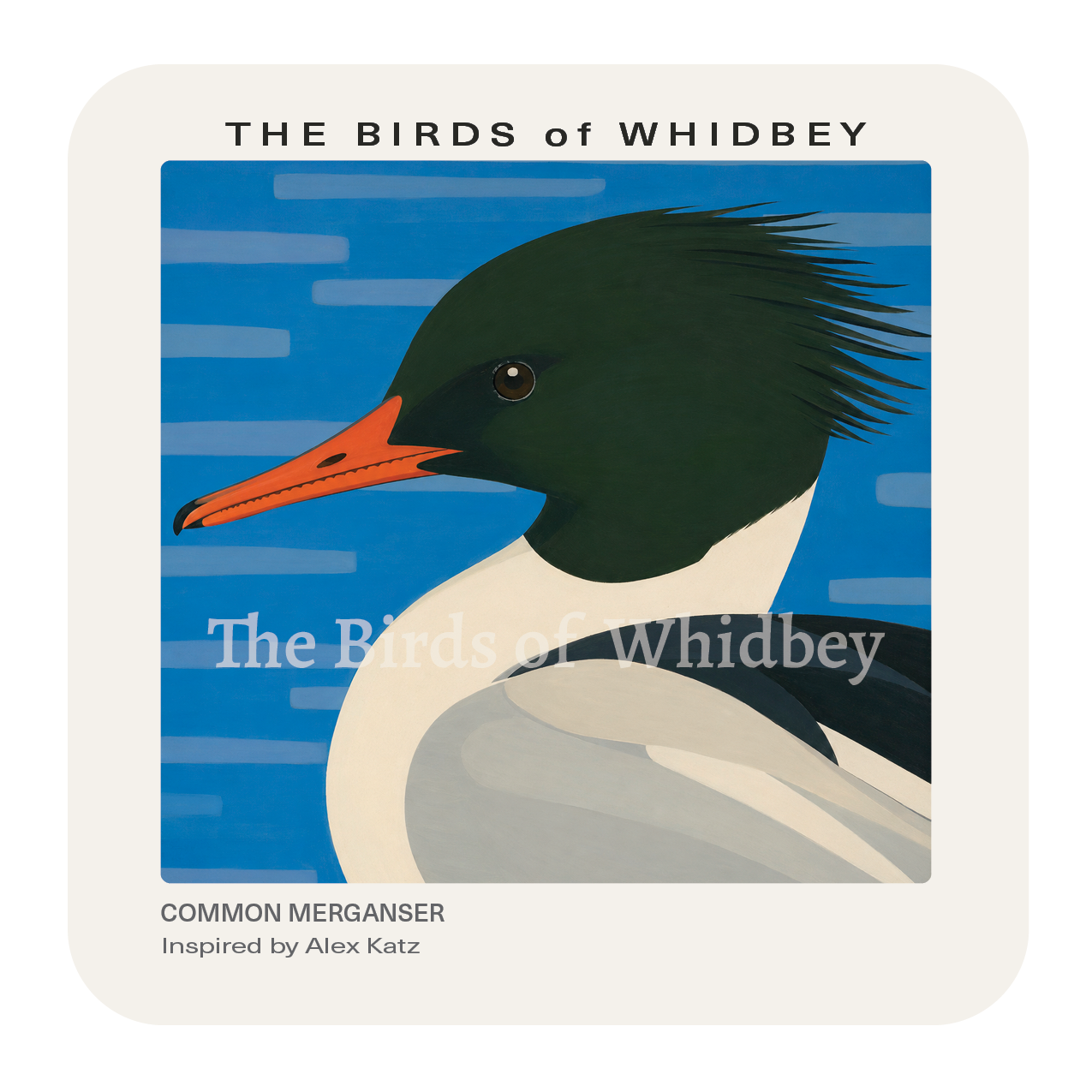 Common Merganser Coaster