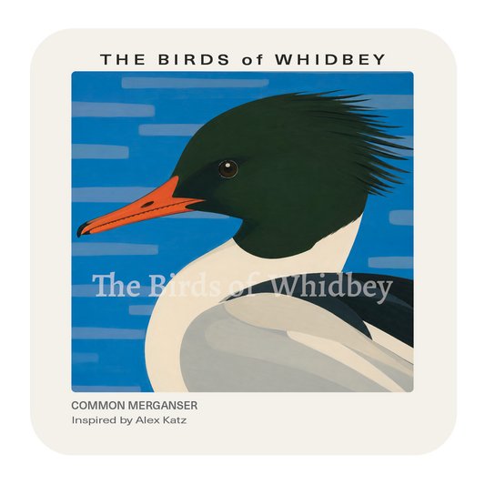 Common Merganser Coaster