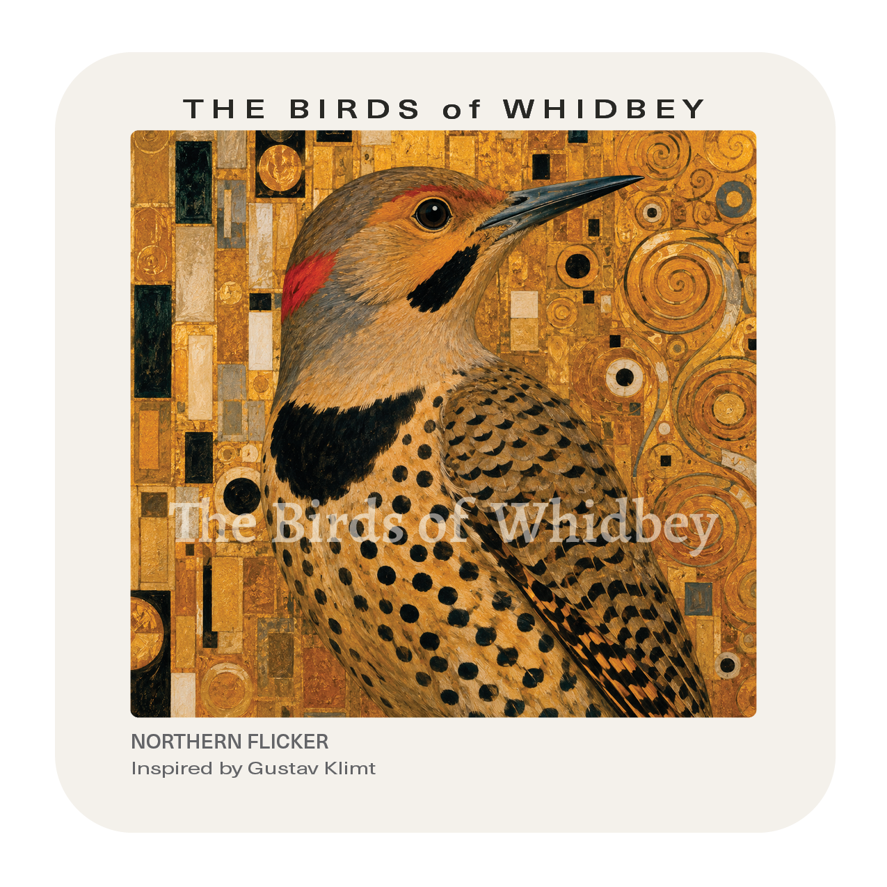 Northern Flicker