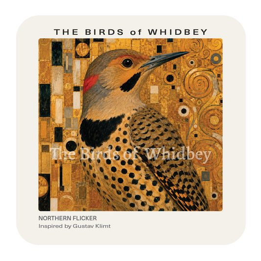Northern Flicker